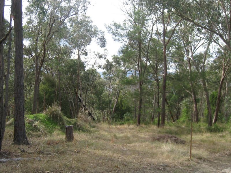 Healesville VIC 3777
