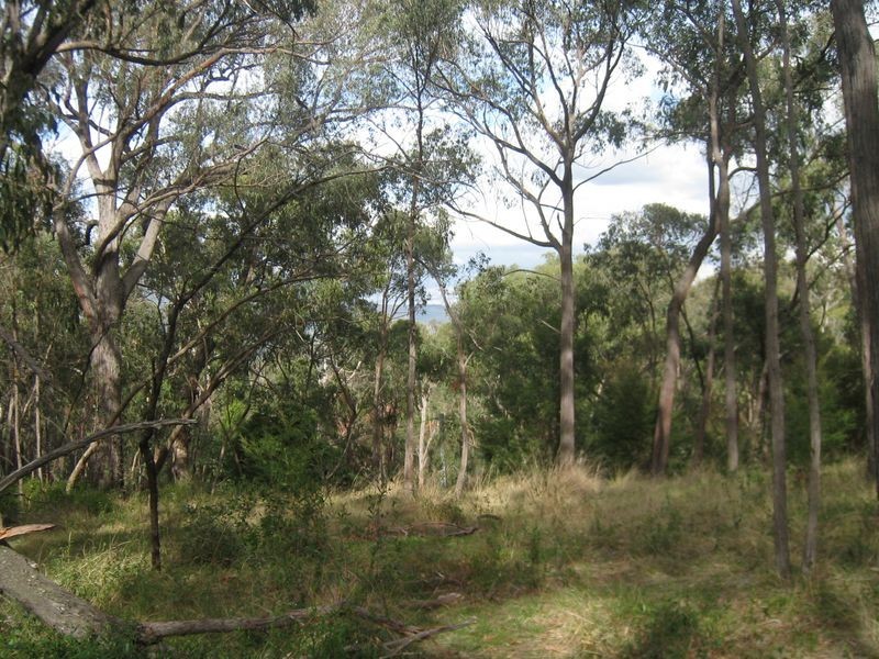 Healesville VIC 3777
