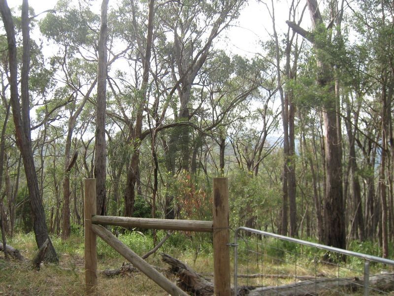 Healesville VIC 3777