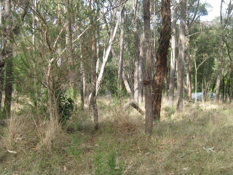 Healesville VIC 3777