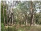 Healesville VIC 3777