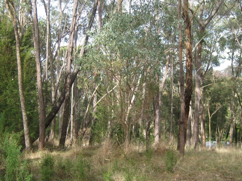 Healesville VIC 3777