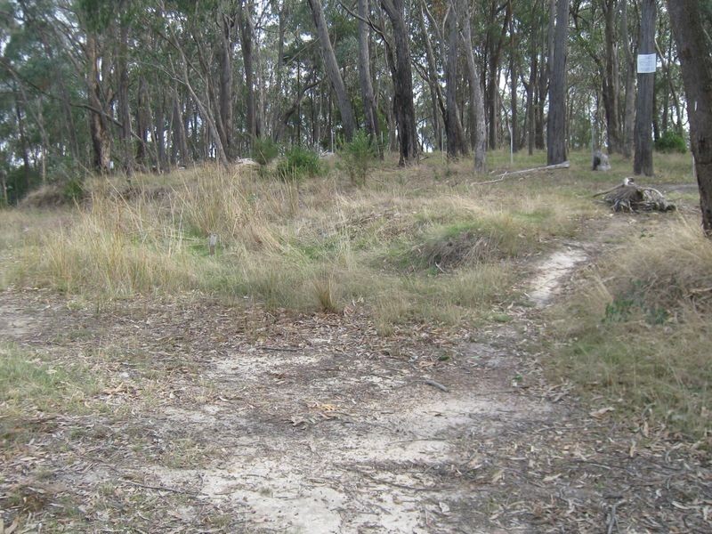 Healesville VIC 3777