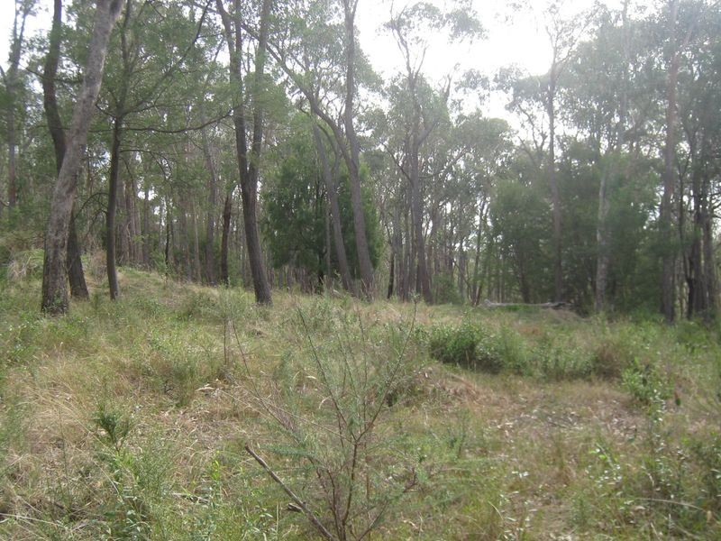 Healesville VIC 3777