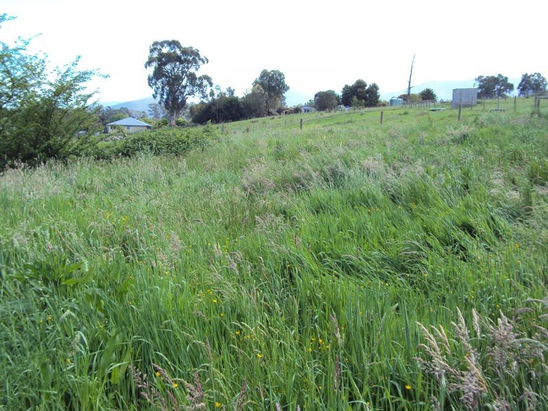 79 Mt Riddell Road, Healesville VIC 3777