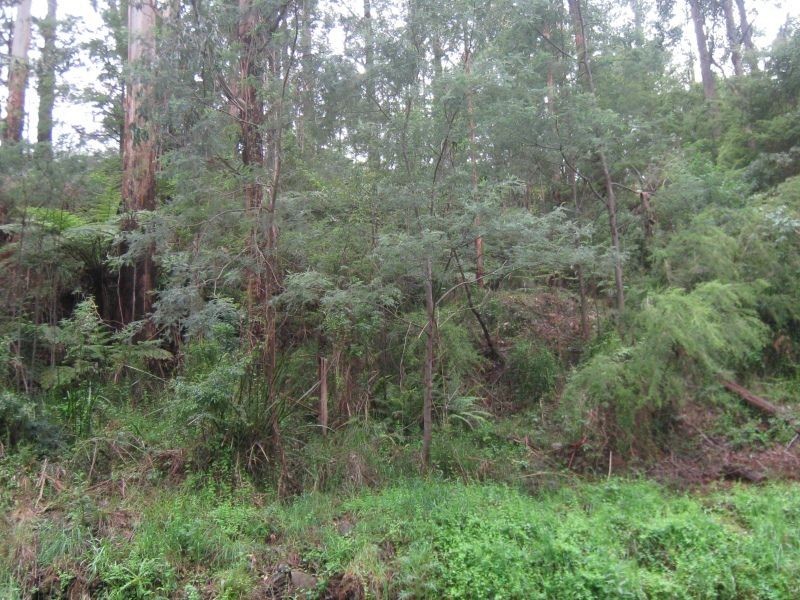 1501-1503 Don Road, Don Valley VIC 3139