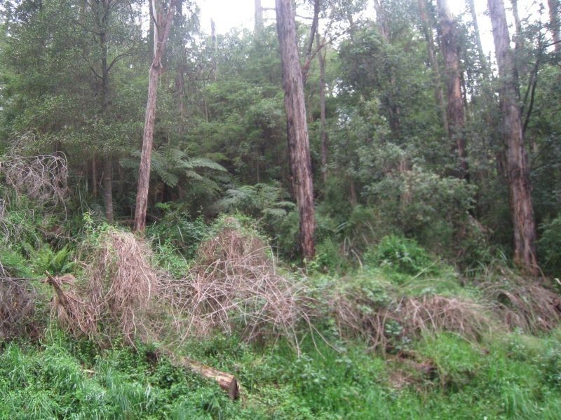 1501-1503 Don Road, Don Valley VIC 3139