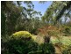 16 Hillcrest Grove, Healesville VIC 3777