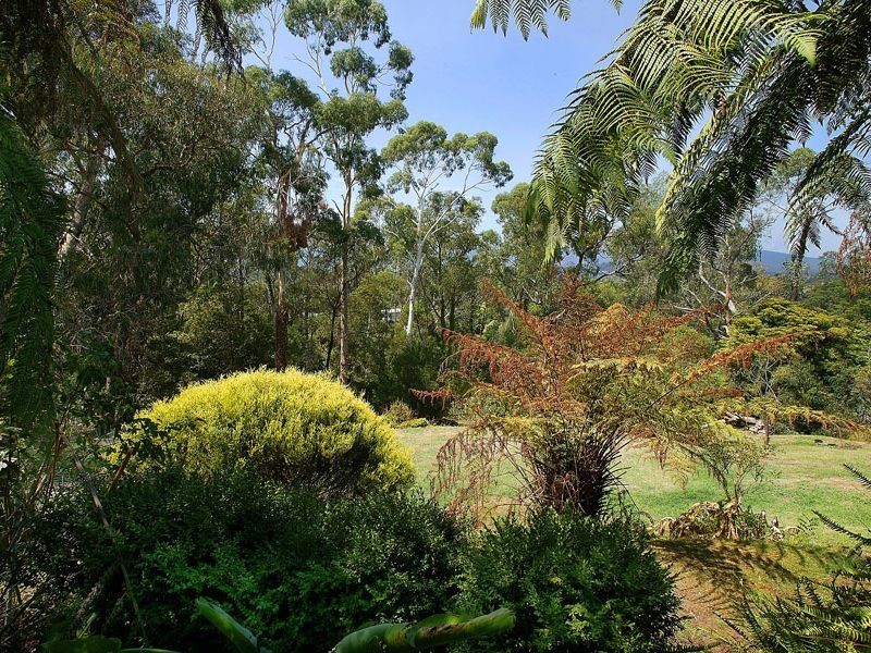16 Hillcrest Grove, Healesville VIC 3777