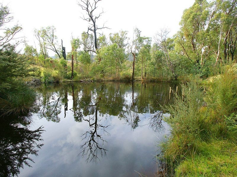 Healesville VIC 3777