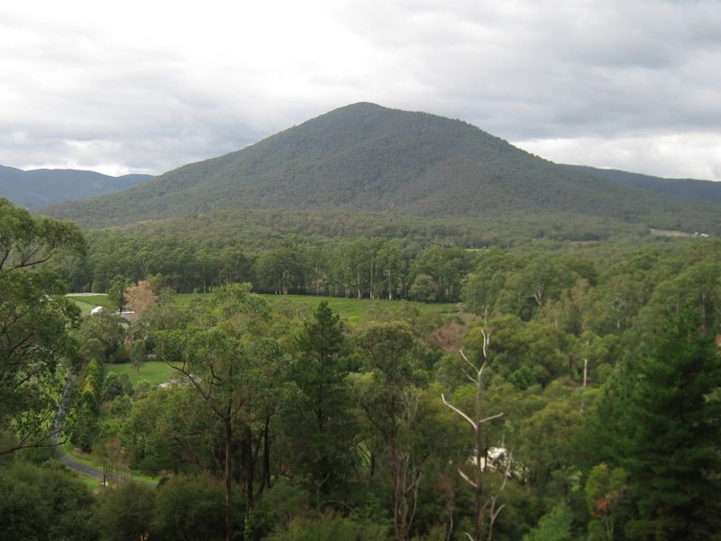 Healesville VIC 3777