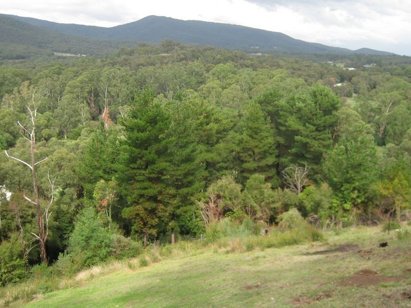 Healesville VIC 3777