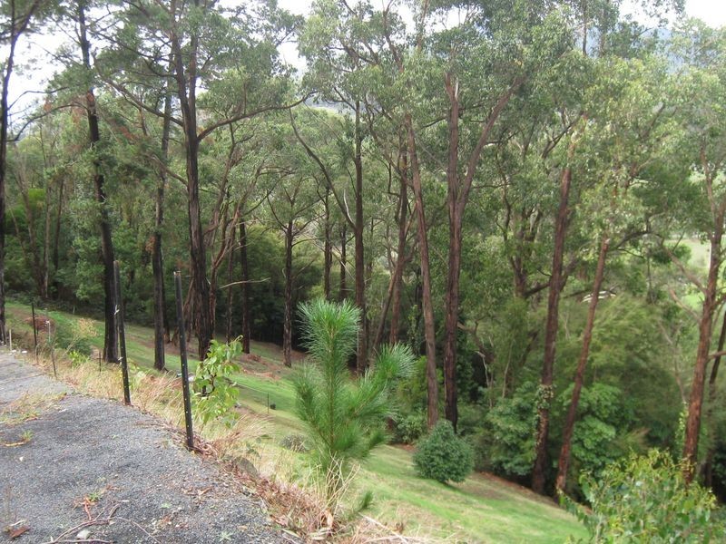 Healesville VIC 3777