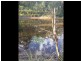 Healesville VIC 3777