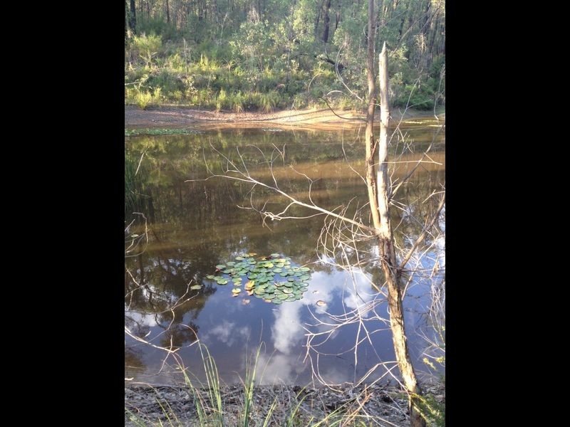 Healesville VIC 3777