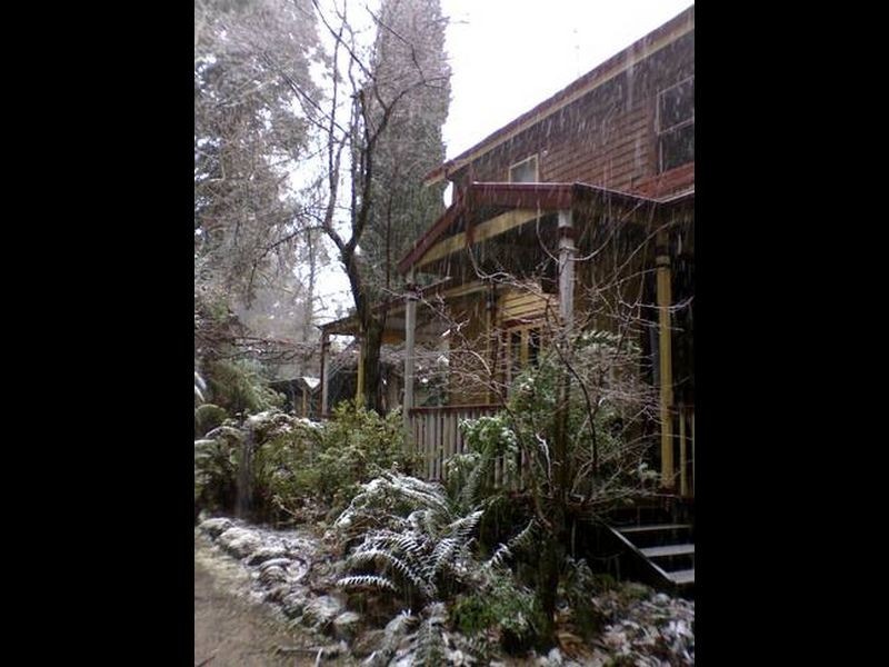 Narbethong VIC 3778