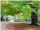 Narbethong VIC 3778