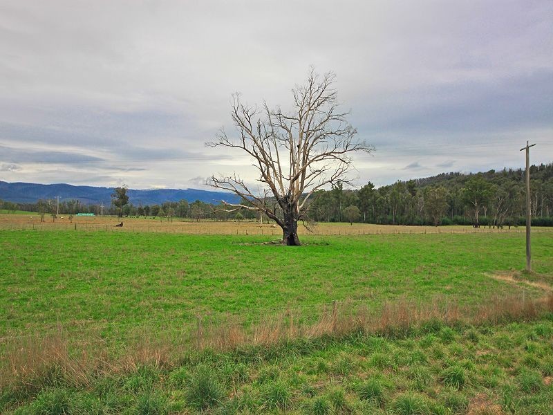 600 Marysville Road, Narbethong VIC 3778