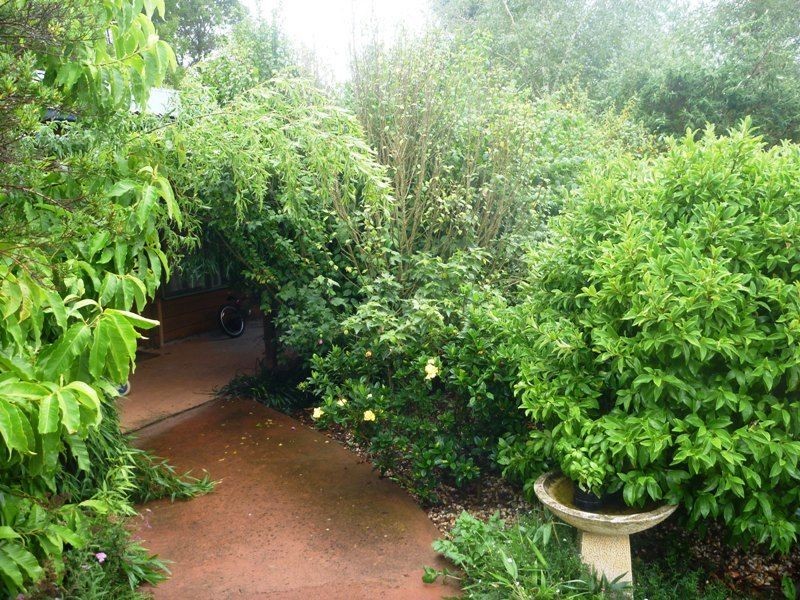 Healesville VIC 3777