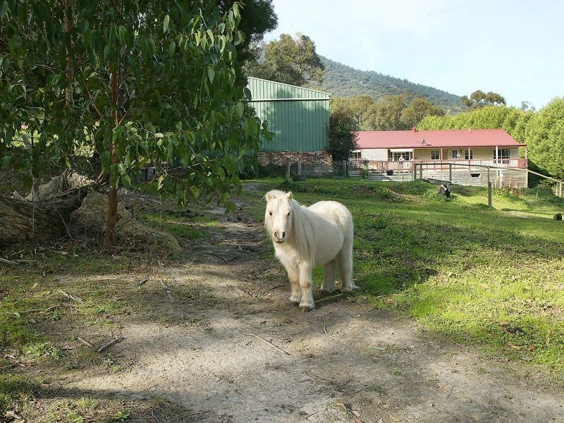 13 Juliet Avenue, Healesville VIC 3777