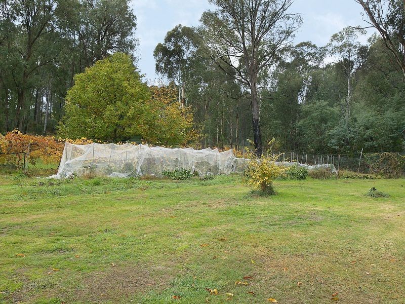 Healesville VIC 3777