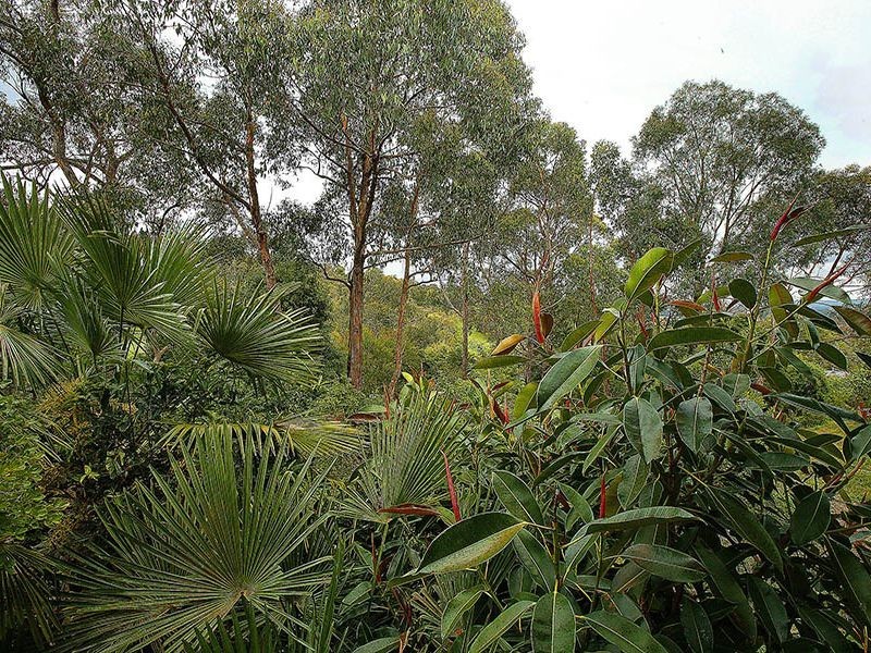 6 George Road, Healesville VIC 3777