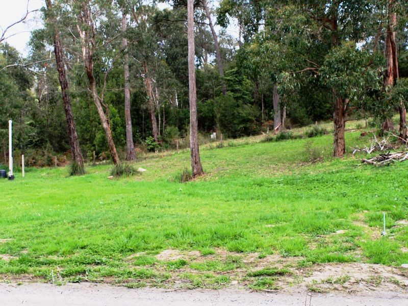 Healesville VIC 3777