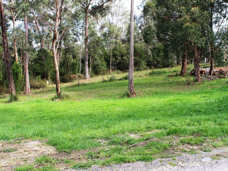 Healesville VIC 3777