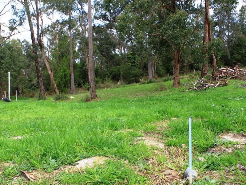 Healesville VIC 3777