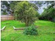 12 Fauna Avenue, Healesville VIC 3777