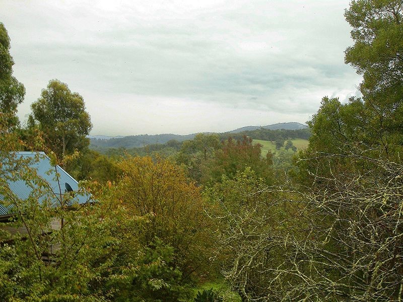 Healesville VIC 3777