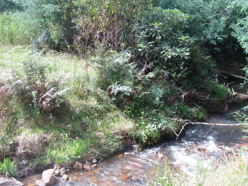 Healesville VIC 3777