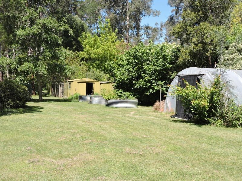 16 Mareeba Avenue, Buxton VIC 3711