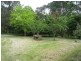 321 Don Road, Healesville VIC 3777