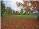 Narbethong VIC 3778