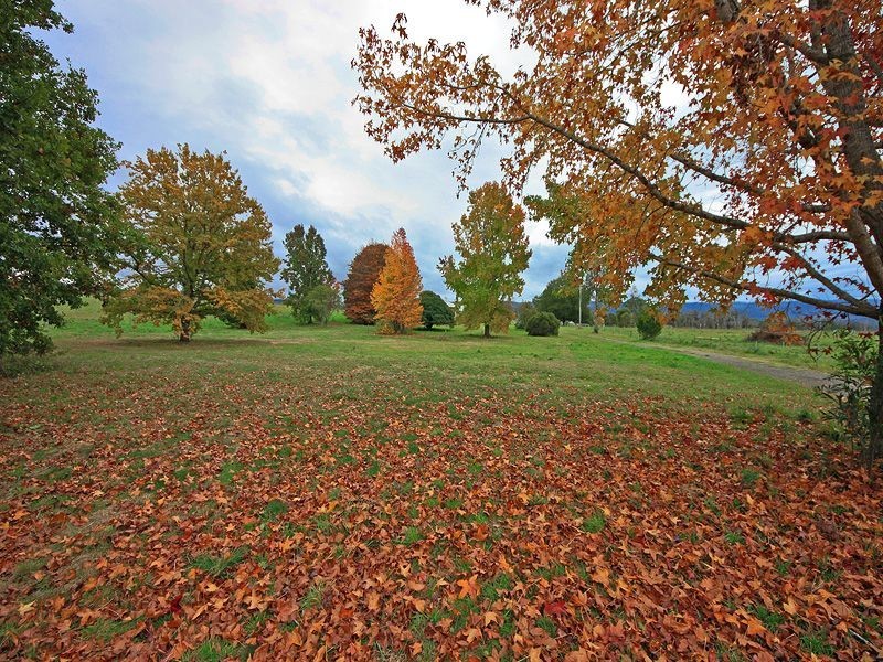 Narbethong VIC 3778