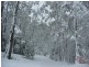 Narbethong VIC 3778