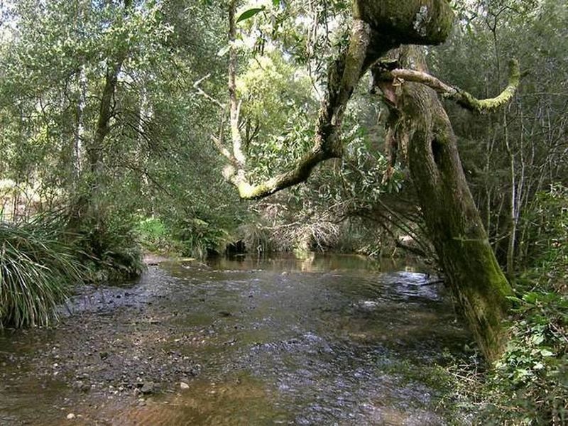 Narbethong VIC 3778