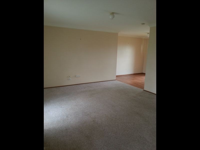 43 Peverell Street, Hillcrest QLD 4118