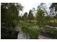 15 Penda Road, Park Ridge South QLD 4125