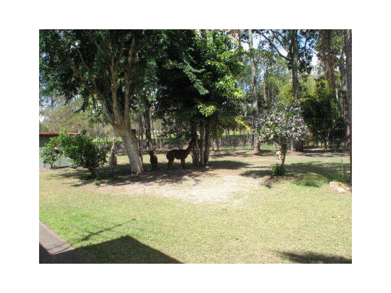 19 Green Road, Park Ridge QLD 4125