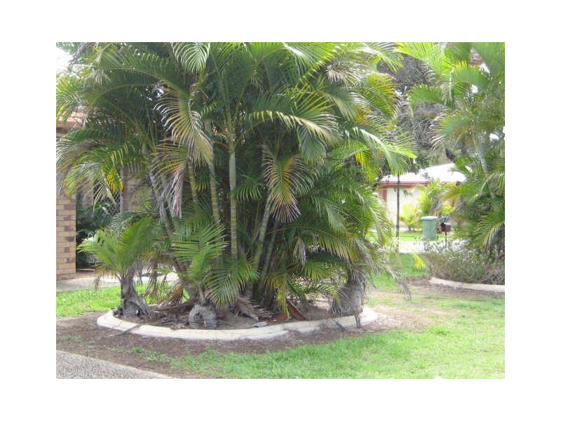 3 Whiteman Street, Crestmead QLD 4132