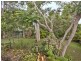 12 Timbertop Avenue, Browns Plains QLD 4118