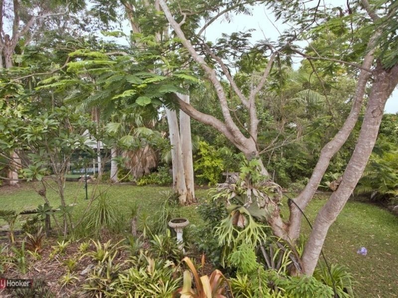 12 Timbertop Avenue, Browns Plains QLD 4118