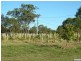 54 Beryl Parade, North Maclean QLD 4280