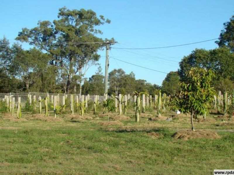 54 Beryl Parade, North Maclean QLD 4280