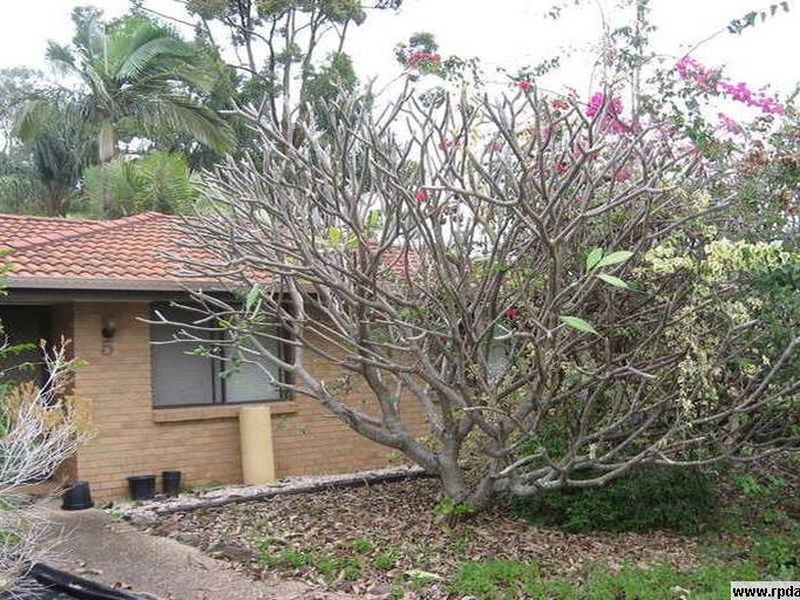 5 Ammons  Street, Browns Plains QLD 4118