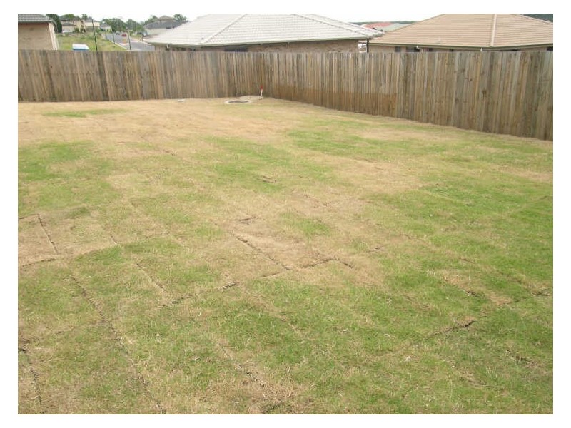 35 Charlton Place, Regents Park QLD 4118