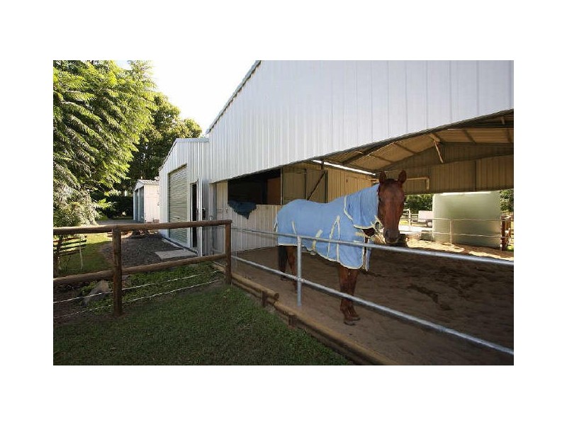 77 Dundee Road, North Maclean QLD 4280