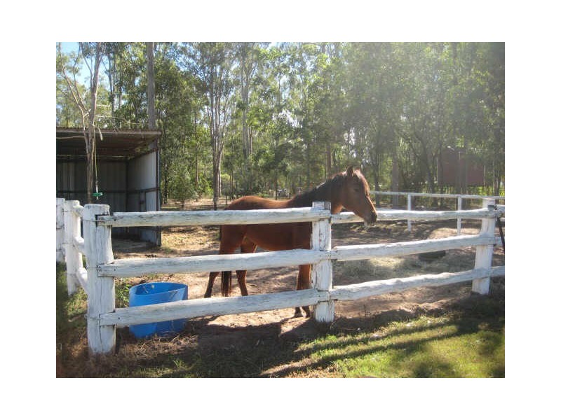 65 Grampian Road, South Maclean QLD 4280
